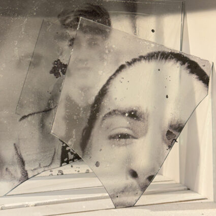 Glass plates from the Garden series by Mehrdad Mirzaie.