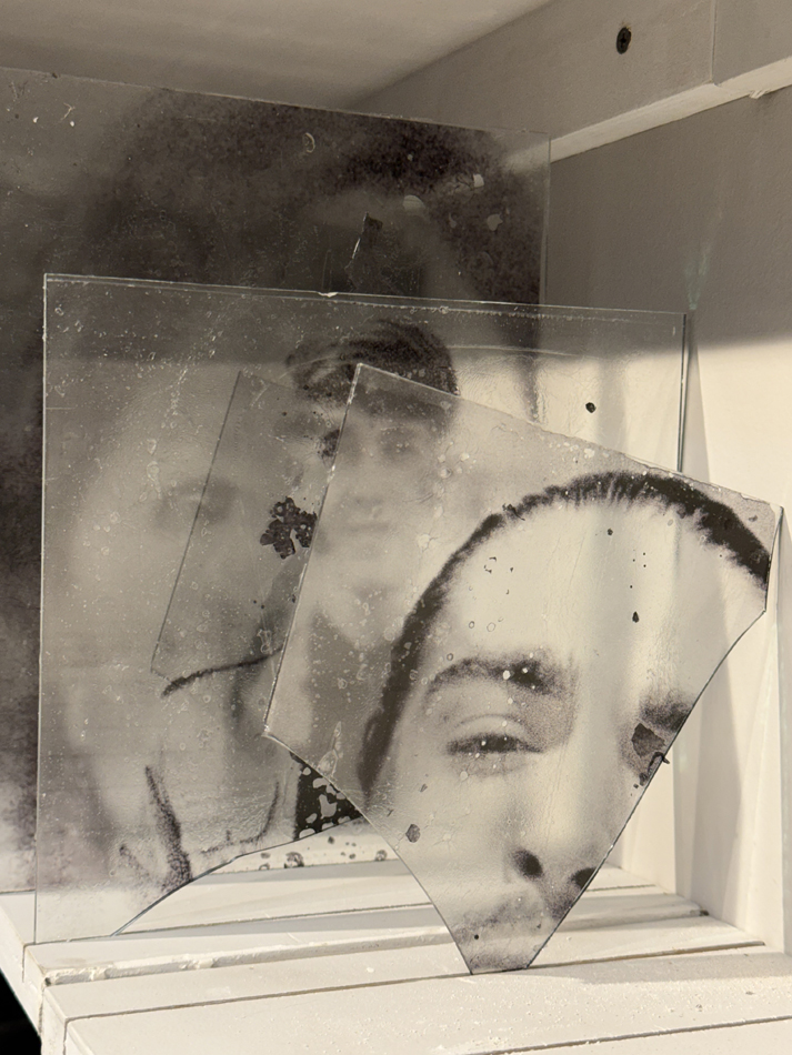 Glass plates from the Garden series by Mehrdad Mirzaie.