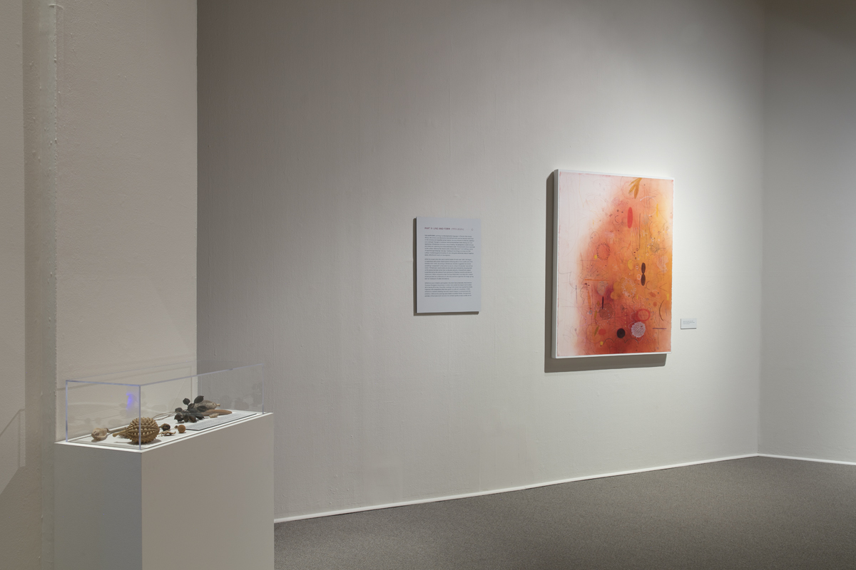 Installation view of an exhibition by Emmi Whitehorse at the Wheelwright Museum of the American Indian, Santa Fe.