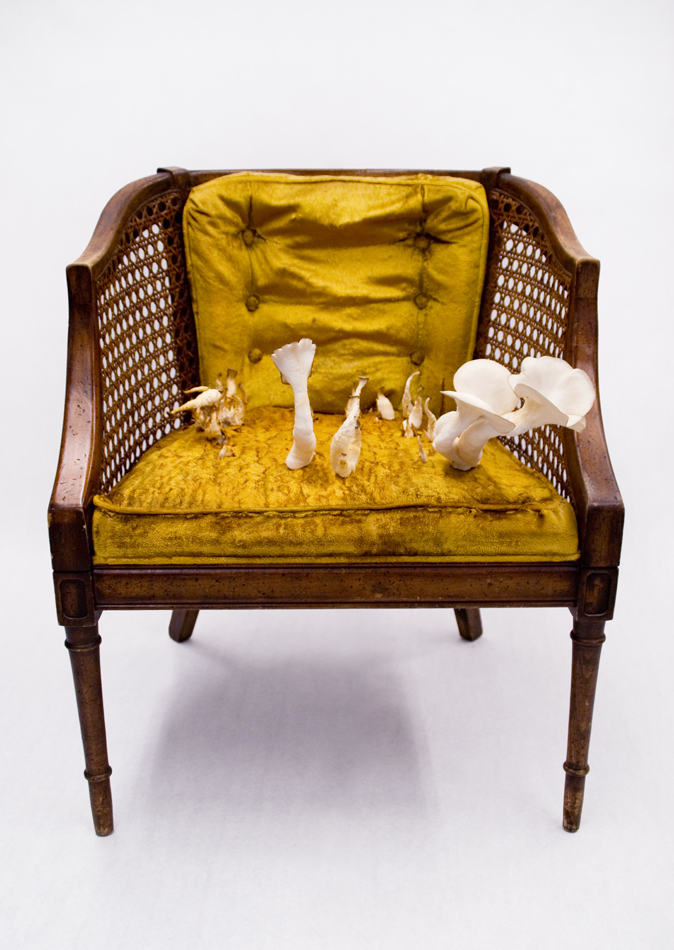 Chair with mushrooms growing out of it by sculptor Kate Casanova.