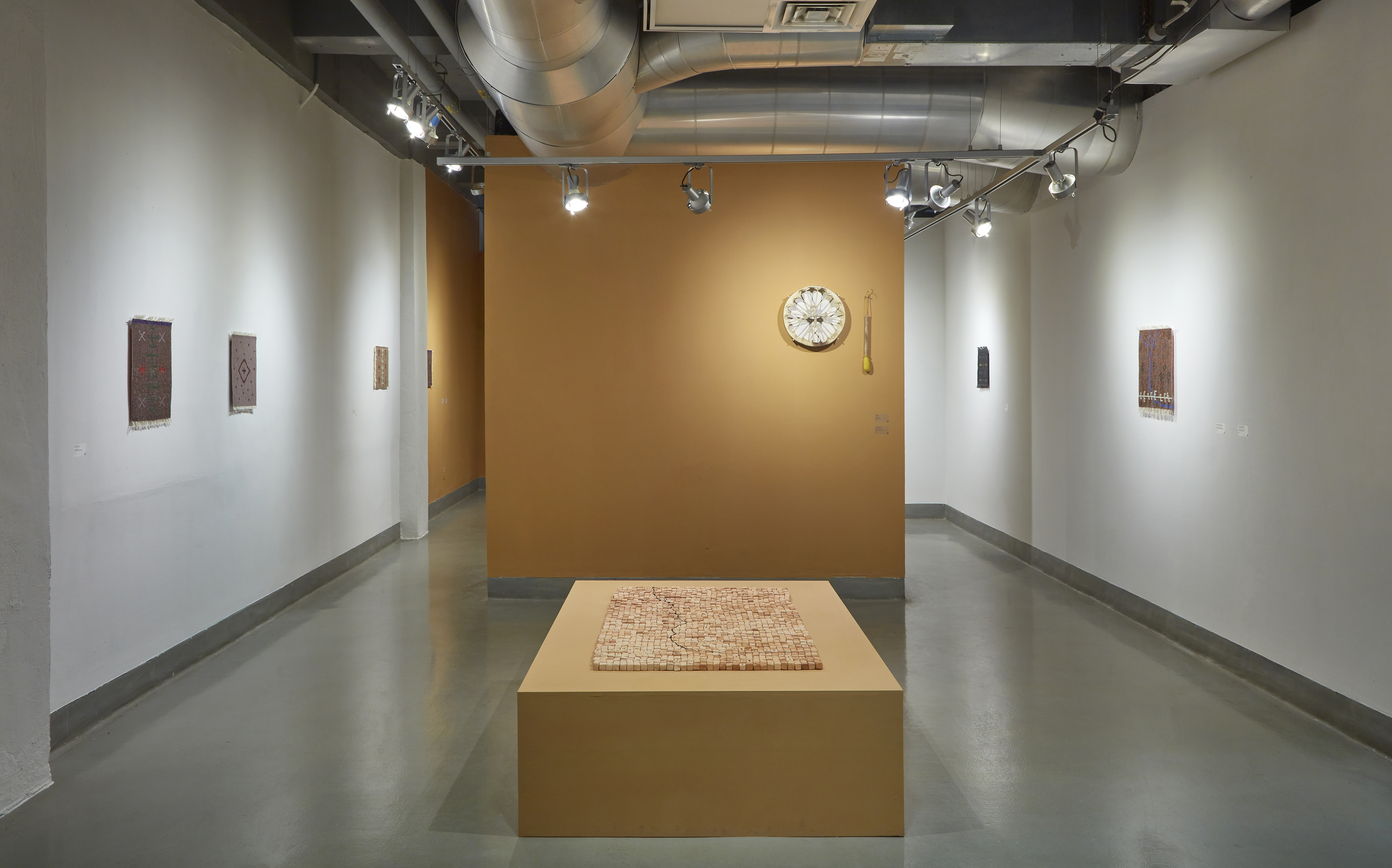 Installation view of a solo exhbiition by Cynthia Gutierrez Krapp, curated by Andres Pay