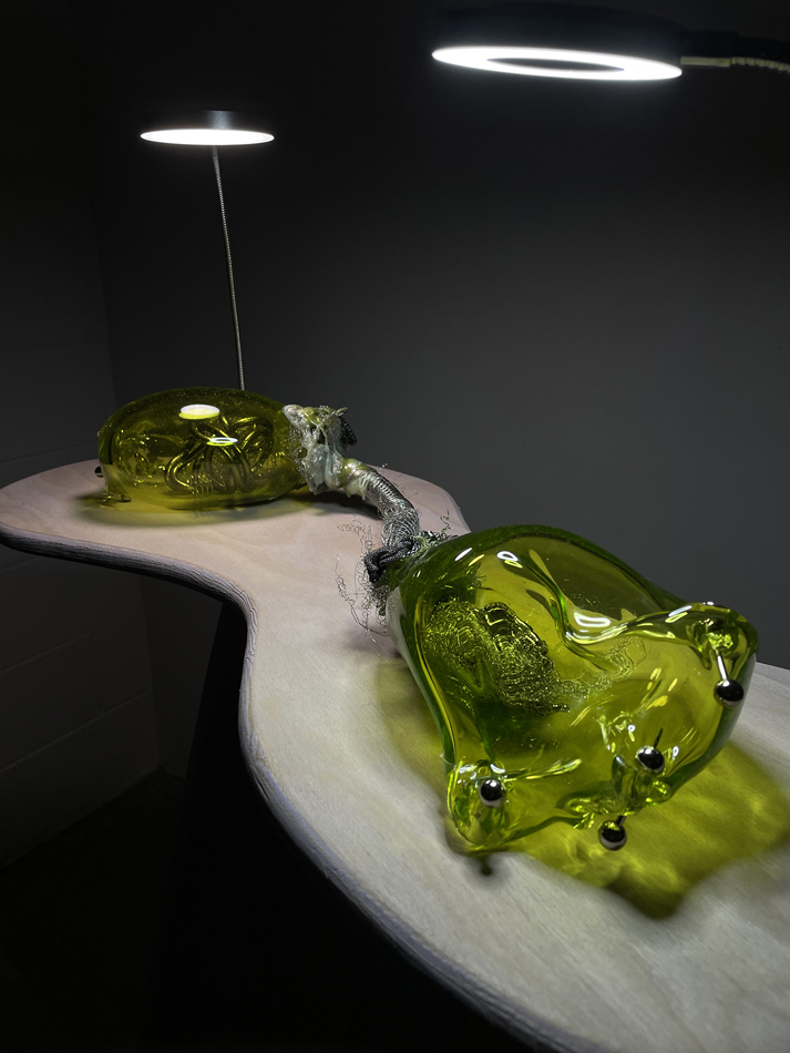 Installation view of a blown glass art installation.