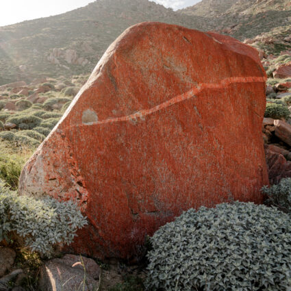 Scenic photograph by Marcus Xavier Chormicle.