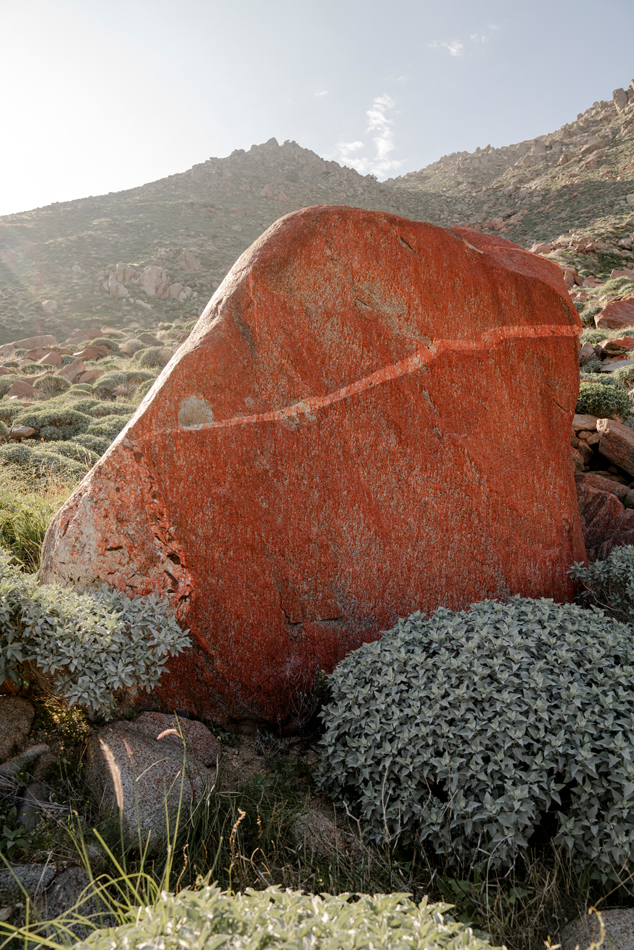 Red stone with a lighter vein running through it.