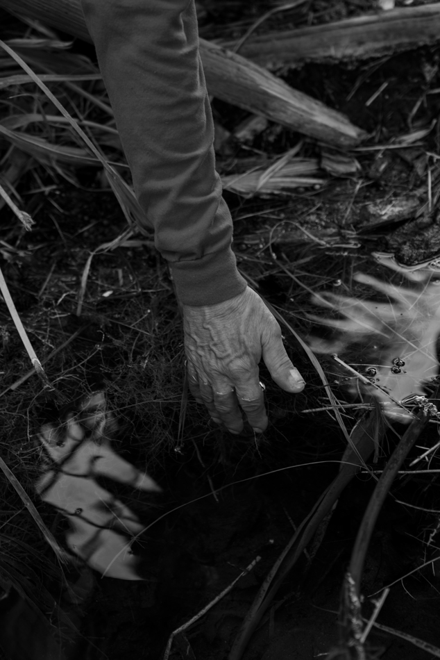 A hand reaches into water on a forest floor in this black-and-white photograph. 