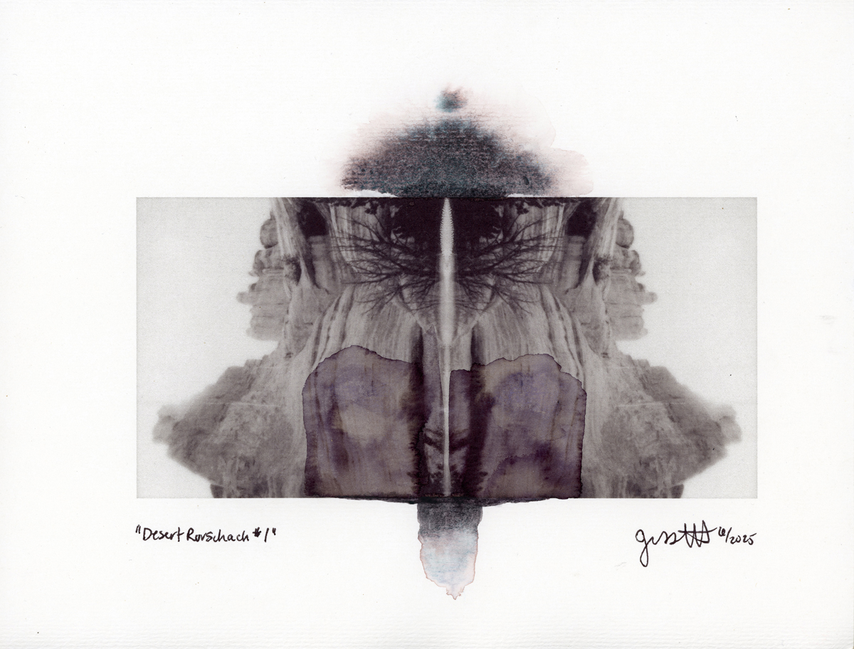 Desert Rorschach series by Jess Merritt of New Mexico.