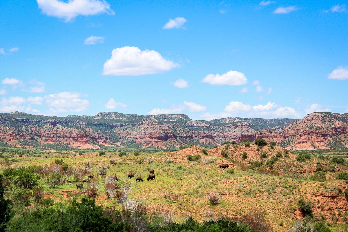 Caprock Canyons State Park. 