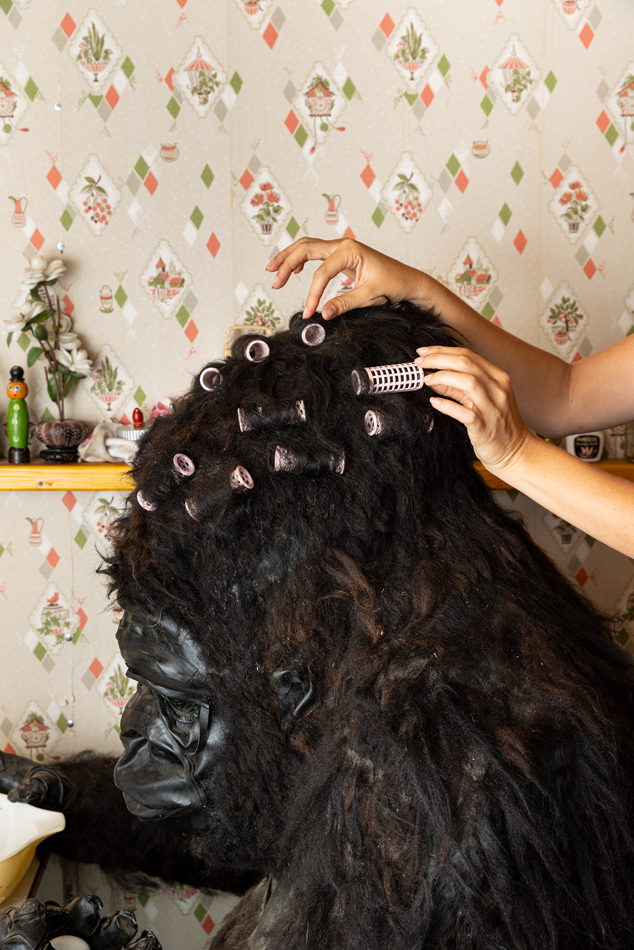 Gorilla with curlers on its head.