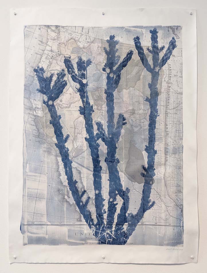 Desert ArtLAB, Printed map layered with cyanotype images of Indigenous plants